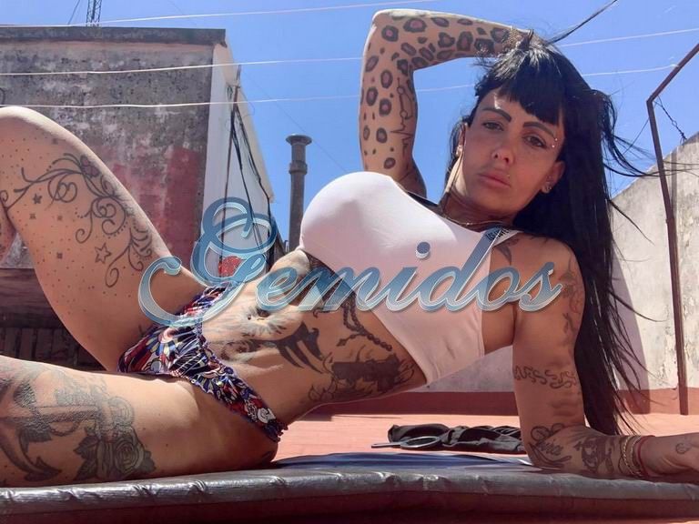 Pamefitdoll