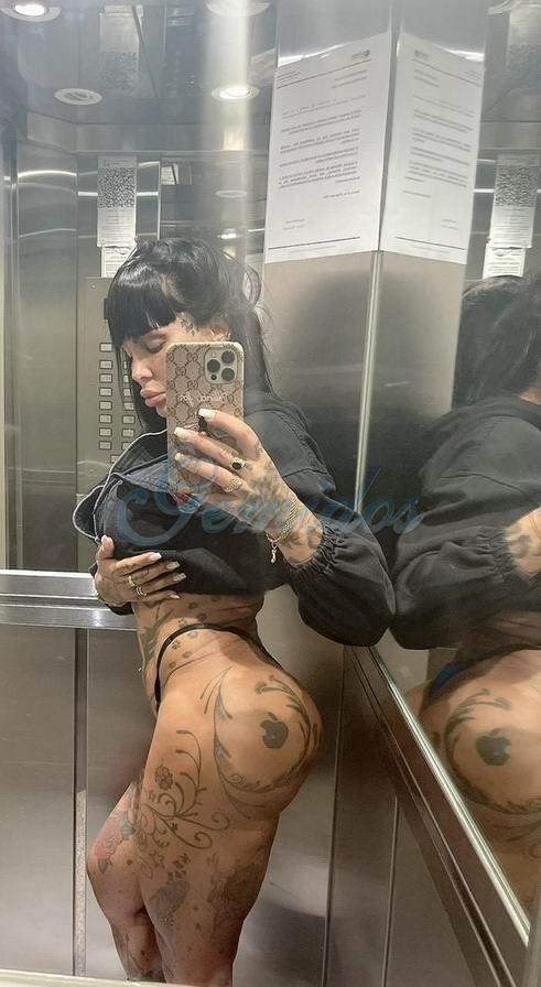 Pamefitdoll