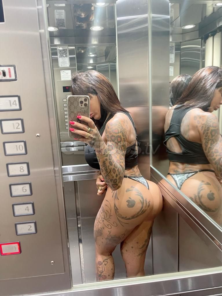 Pamefitdoll